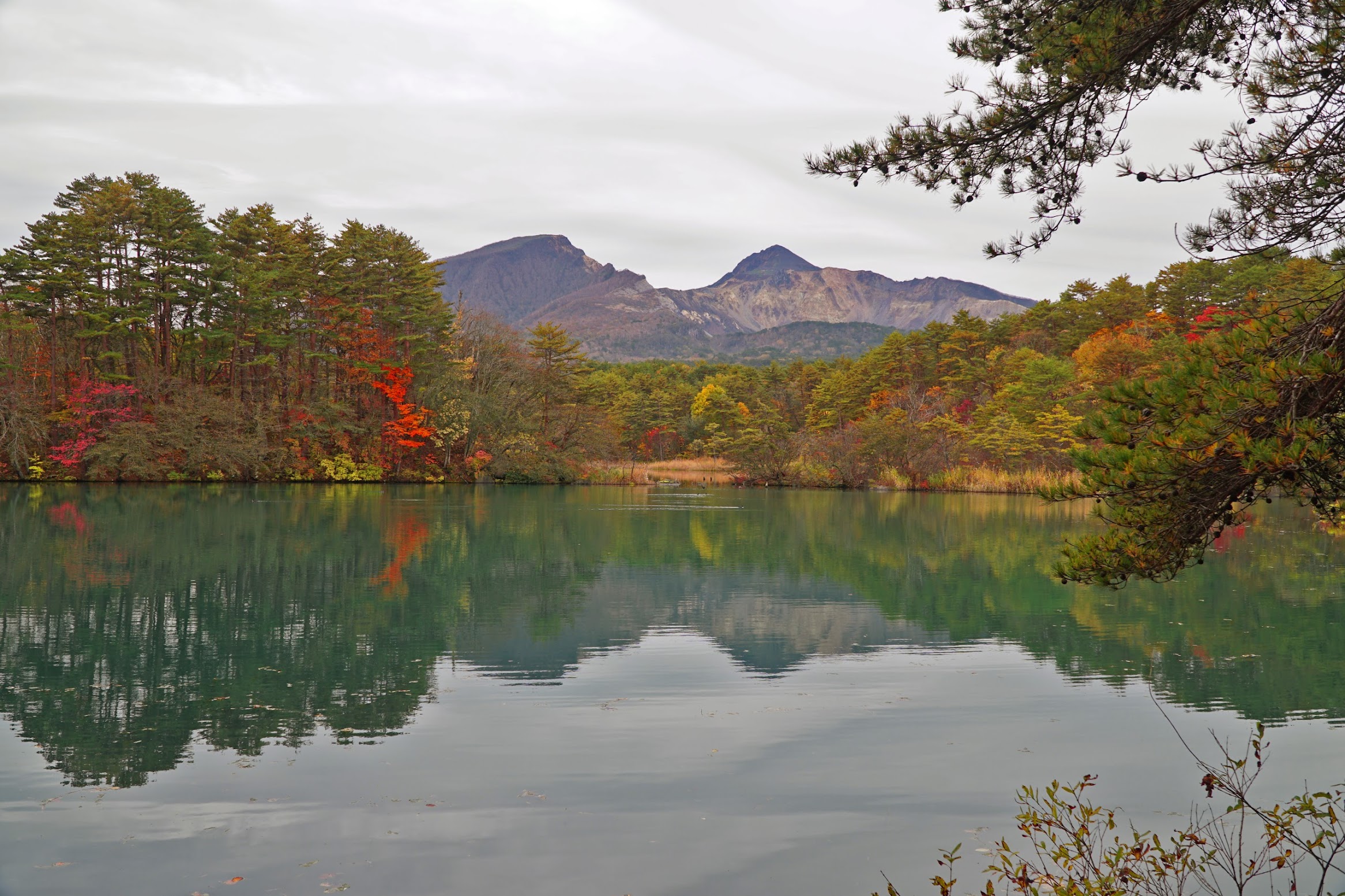 五色沼自然探勝路