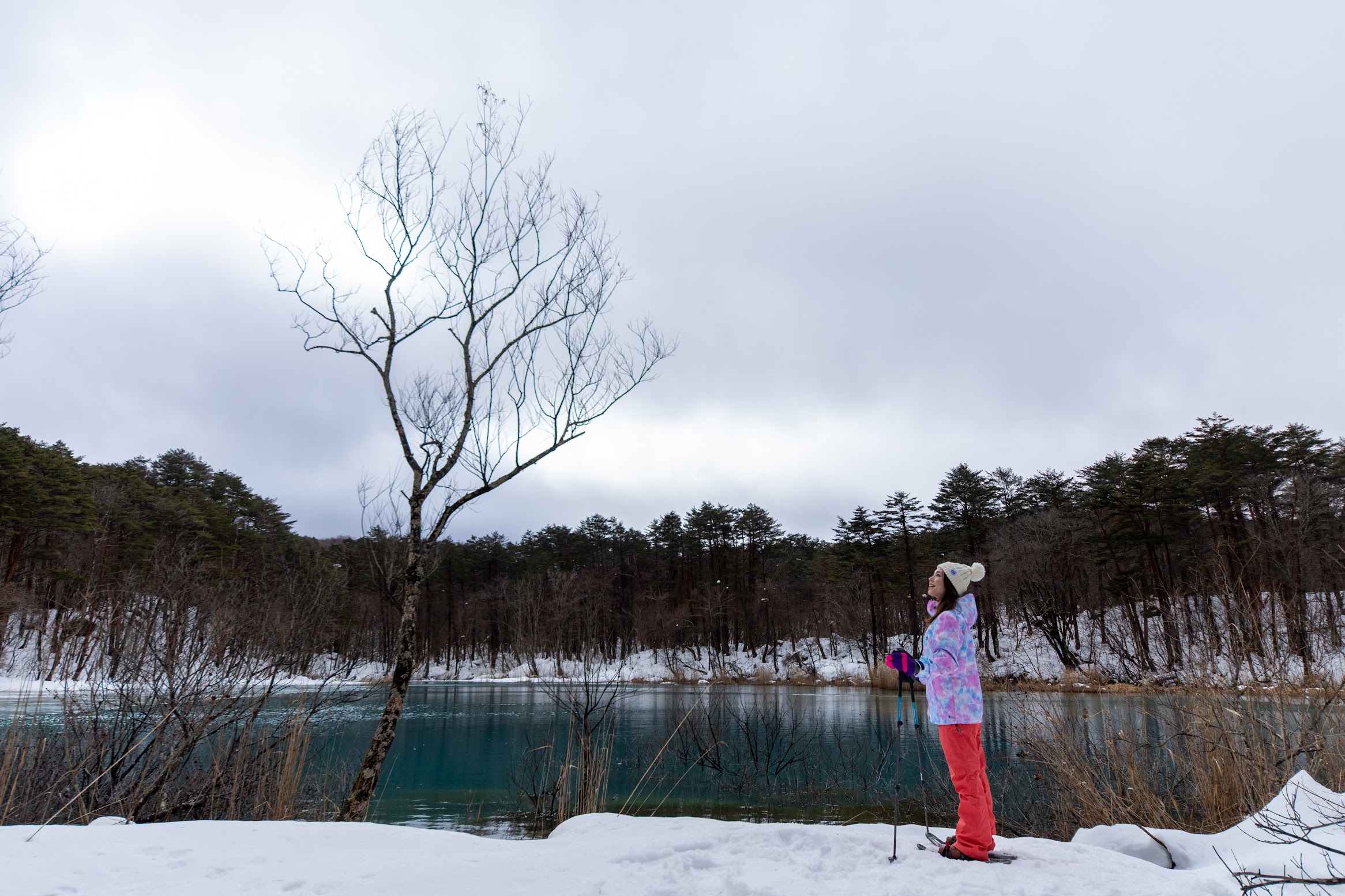 冬のスノーシュー体験