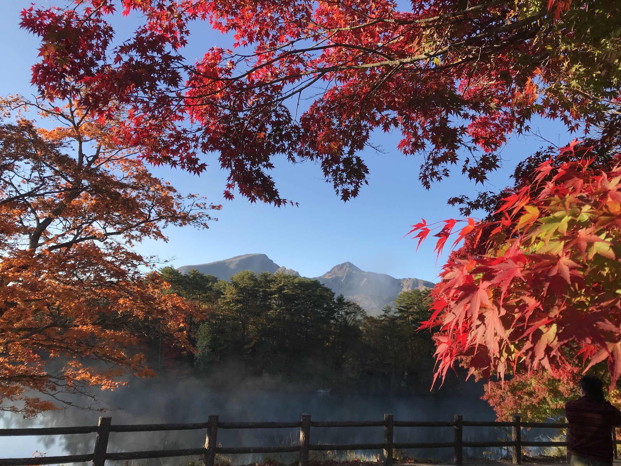 ミシュラン一つ星の紅葉 秘密の秋色をめぐるその日最高の絶景へ！